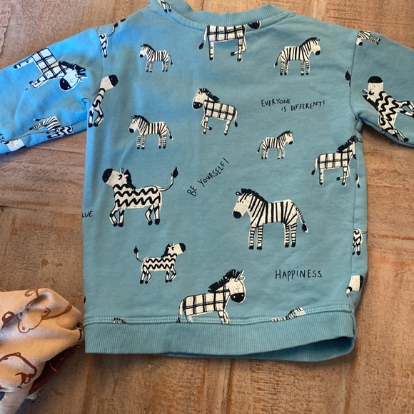 🐻🦓🐿️H&M bundle boys pullover sweaters size 12-18 months - Picture 7 of 9